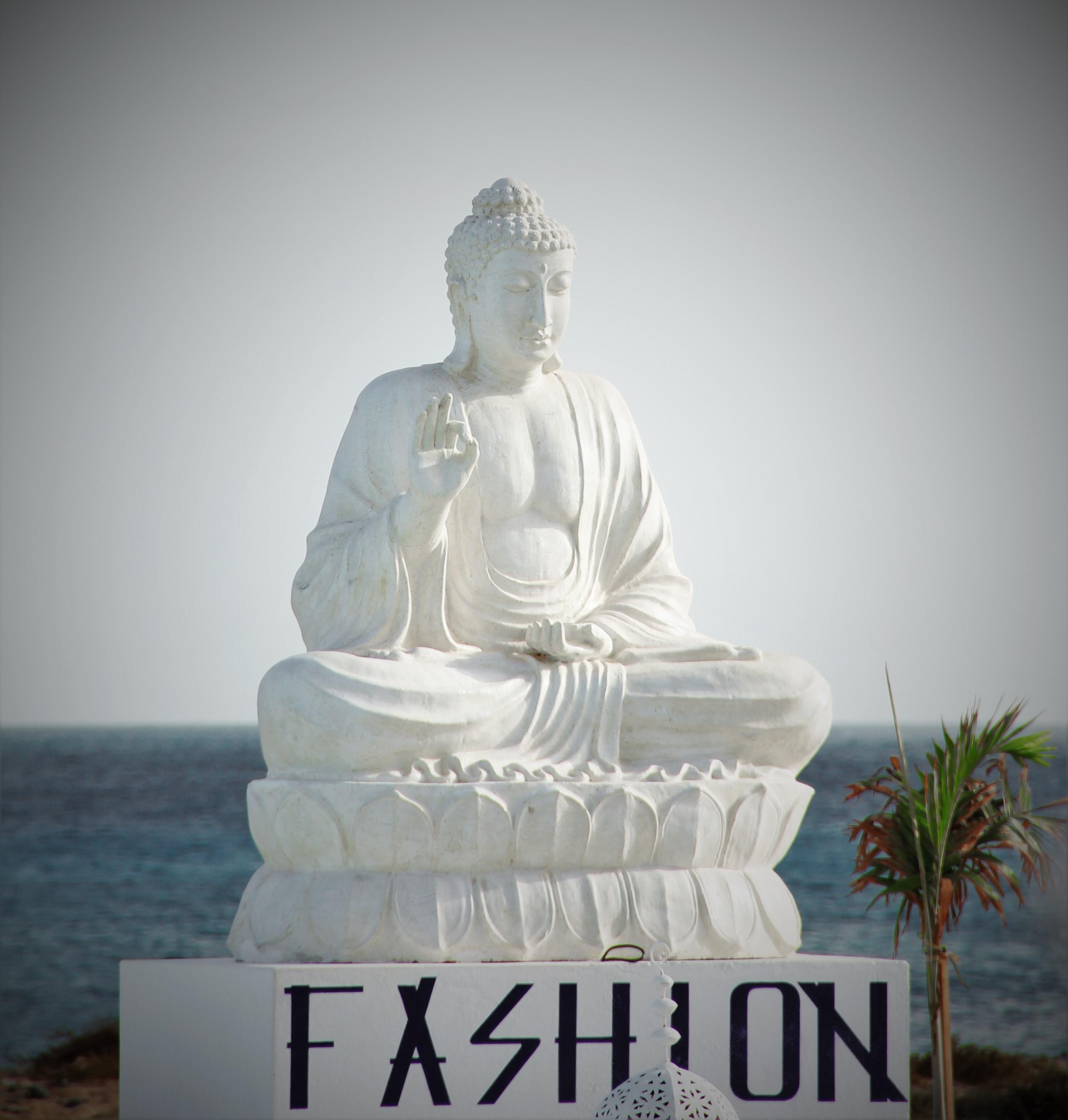 Hotel Livvo Budha Beach Santa Maria Dış mekan fotoğraf